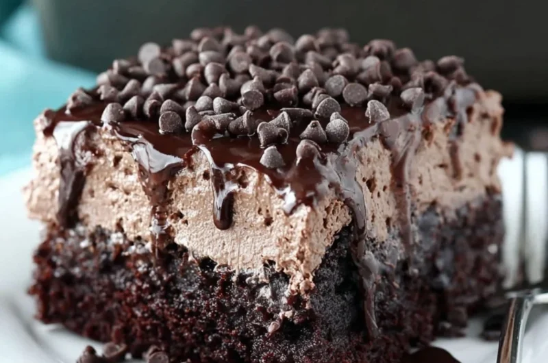 Delicious chocolate poke cake topped with chocolate frosting and chocolate chips.