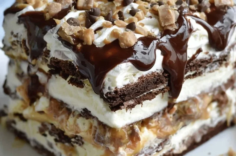 Delicious Ice Cream Sandwich Cake layered with chocolate and vanilla ice cream
